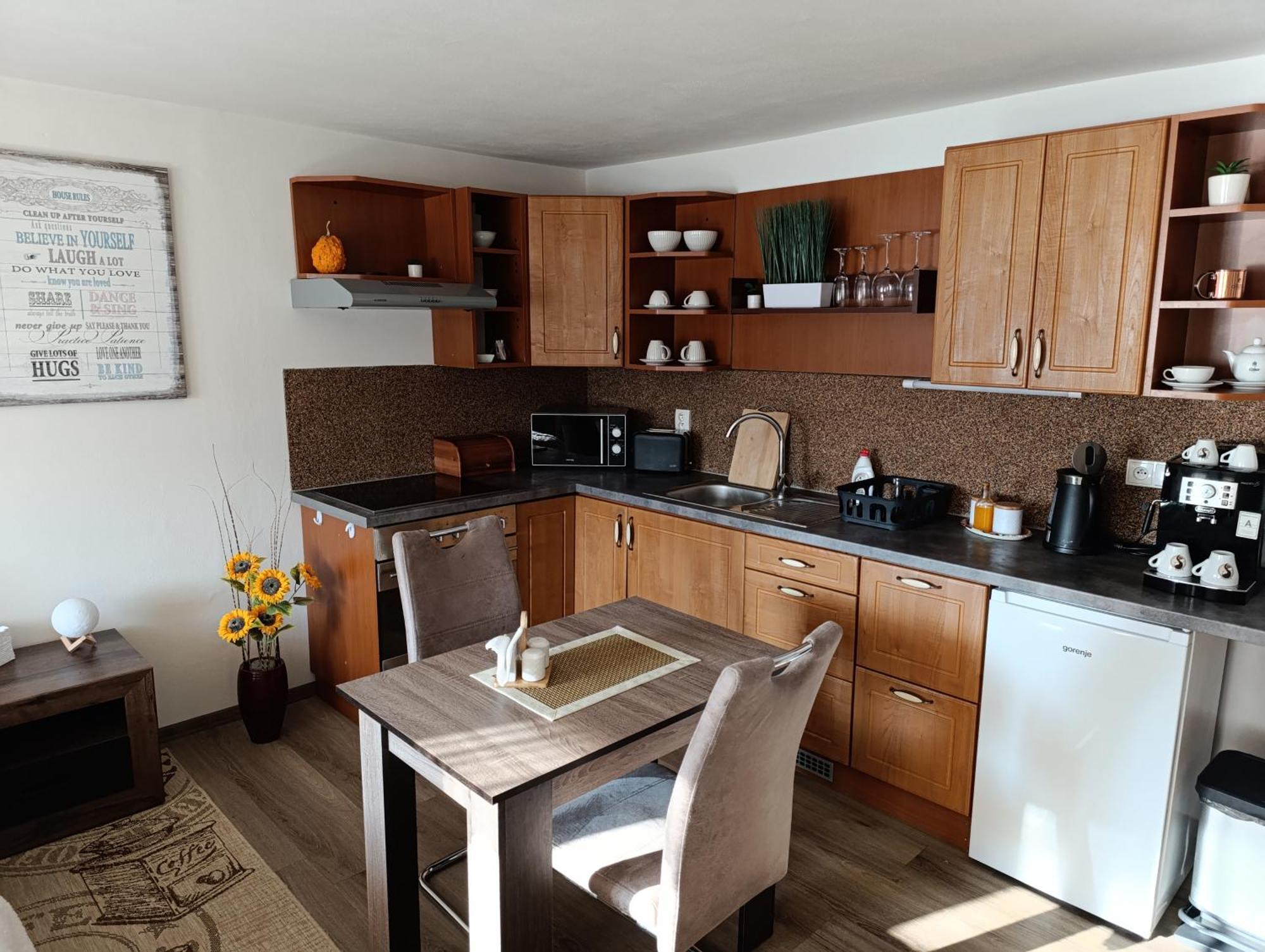 U Bocmana S Vyhledem Na Zamek A Labe Apartment Decin Exterior photo